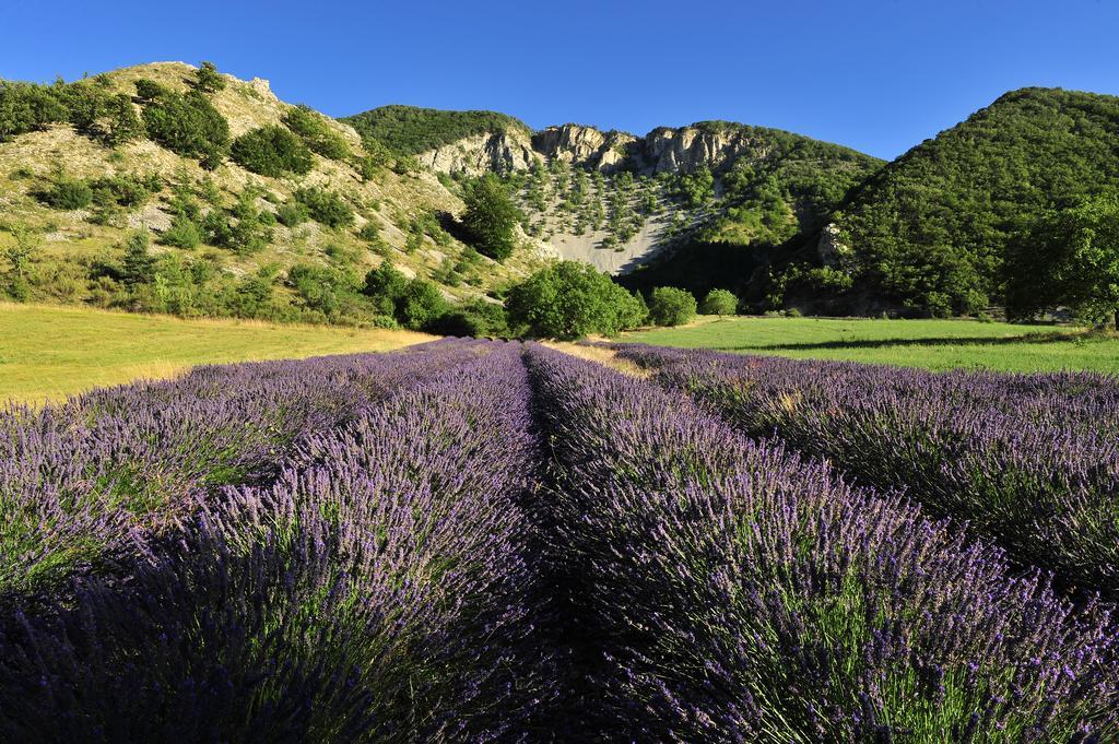 Vvf Drome Provence Hotel Montbrun-les-Bains Buitenkant foto